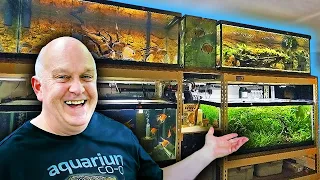 Private Tour With MASTER Fish Breeder