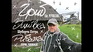 "Грибина розвідка" за рікою ,стара хата Шуберта Петра.