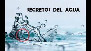 Los secretos del agua y su influencia en nosotros.