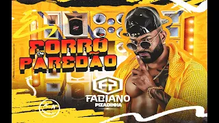 FABIANO PIZADINHA {Caiu na Rede} AO VIVO EM VIDEO / FORRÓ DE PAREDÃO