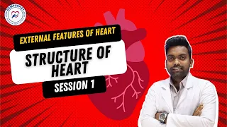 Structure of Heart | Session 1 | External Features of Heart | By Sirishetti Prasad Sir | RNI