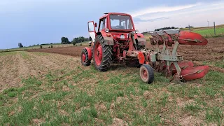 Orka 2023 Mtz82 i Fenet w akcji oraz Fortschritt ZT303D z włóką #tractor #kabat #agriculture #orka