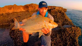 The Golden Hour | Pilbara Sunset Session