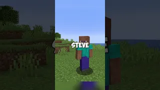 minecraft's 2nd steve