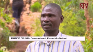 One man’s fight to save wetlands