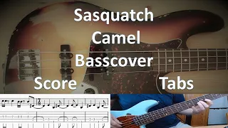 Camel Sasquatch. Bass Cover Score Tabs Chords Transcription