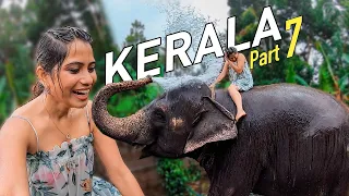 Thekkady Luxury Resort Stay -  Periyar Tiger Reserve - Elephant Shower - Kerala Tourism Part 7