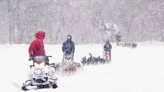 Экспедиция на собачьих упряжках | Dog sledding expedition in Kamchatka