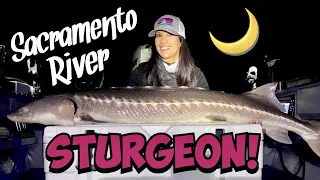 STACY GOES NIGHT FISHING 🌙🎣 - Sacramento River Sturgeon Fishing + BONUS Bait Rigging Demos! 🐟