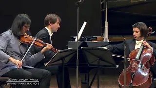 Lugansky . Capuçon . Kavakos - Brahms Piano Trio No. 3