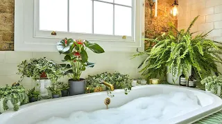 The 10 Best Bathroom Plants That Thrive in High-Humidity