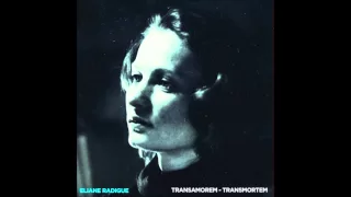 eliane radigue - transamorem transmortem