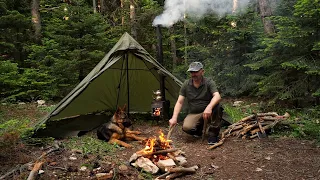 Bushcraft trip, Camping with my dog, Delicious camping food, Relaxing video