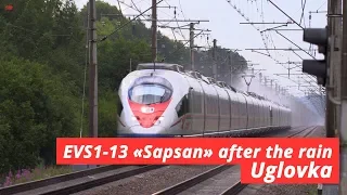 «Sapsan» high-speed train after the rain, 220 km/h