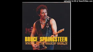 Bruce Springsteen Downbound Train Dublin 20/05/1993