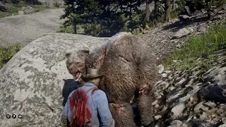 What Happens If You Stand Still or Slap The Legendary Grizzly Bear in RDR2 - Red Dead Redemption 2