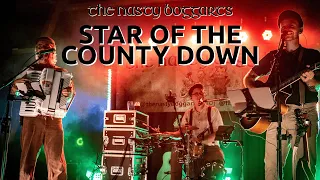 Star of the County Down I The Nasty Boggarts