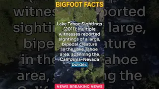 LAKE TAHOE BIGFOOT ENCOUNTER #shorts #scary #bigfoot #ghost