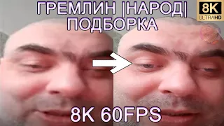 ГРЕМЛИН |НАРОД| ПОДБОРКА 8K 60FPS (УЛУЧШЕННЫЙ МЕМ)🐨🐨🐨