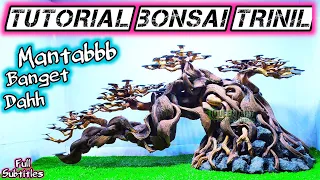 HOW TO MAKE AQUASCAPE BONSAI TREE | AQUASCAPING