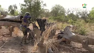 🛑 Opération Kapidgou ou la ruche