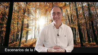 Escenarios de la Pasión: El camino