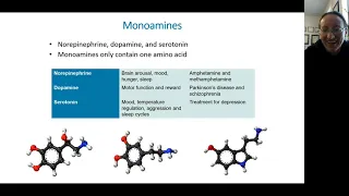 Ch. 3. Biological Psychology (lecture 2 of 4): MTA PSYC 1001, Week 4, class 2