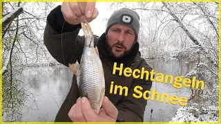 Hechtangeln mit Köderfisch am Kanal bei Schnee / Deadbaiting im Winter