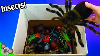 Learn INSECT NAMES + COLORS! Bugs and Lizard Toy Learning for Kids by Koalafied Fun