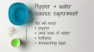 How to do pepper and water surface tension science experiment