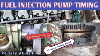 FUEL INJECTION PUMP TIMING | WEICHAI WD615.46 | XCMG CRANE 50K | Diesel engine workshop