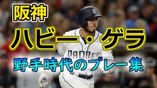 阪神 ハビー・ゲラ 野手時代のプレー集