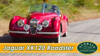 Jaguar XK120 OTS: "Open Top Symphony"