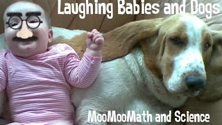 Babies and Dogs Compilation -NEW