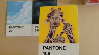 I'm Late || Pantone Card Unboxing & painting showcase