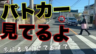 【歩行者優先】横断歩道を渡ろうとしてたら渡らせてあげよう🚔パトカーは見てるよ【Japan's dangerous driving reality channel】