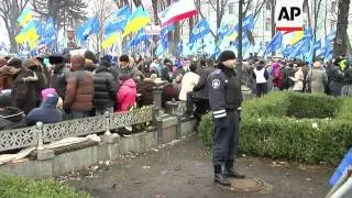 Supporters of President Yanukovych stage rally in Kiev