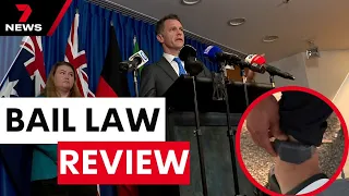 Premier proposes bail law changes amid rise in domestic violence | 7 News Australia