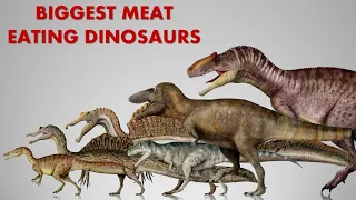 The 10 Biggest Carnivorous Dinosaurs Ever Discovered
