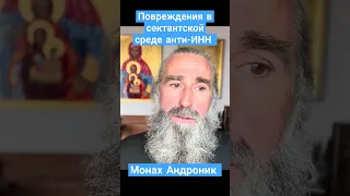 Повреждения в сектантской среде анти-ИНН | Монах Андроник | Афон