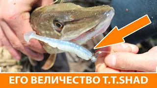 Лучшая приманка для ловли щуки ❘ Как словить сома на силикон Bait Breath T.T.Shad?