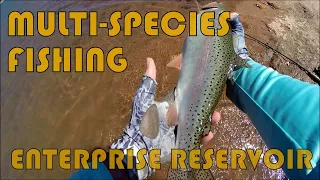 Multi-Species Fishing at Enterprise Reservoir (April 23rd, 2024)