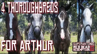 How to Get Arthur 4 Thoroughbred Horses in Red Dead Redemption 2