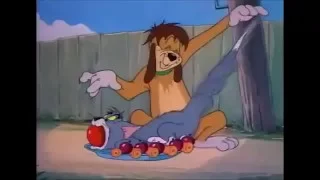 Tom and Jerry woow 35 Episode   The Truce Hurts 1948