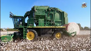 Harvesting Cotton in Southwest Oklahoma