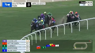 Gulfstream Park Carrera 8 (The Golden Beach Handicap) - 22 de Abril 2023