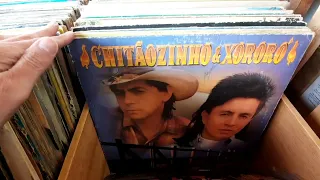 LPs sertanejos. Discos de vinil. Coleção de discos de vinil