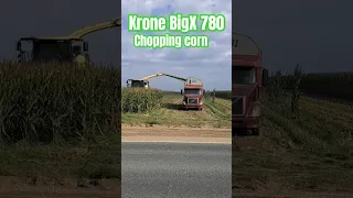 Krone BigX 780 chopping California corn🌽😎💪 #farming #california #cornharvest #silage2023 #krone