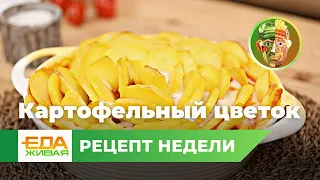 Картофельный цветок | Живая Еда (эфир 18.02.2023)