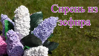 Сирень из зефира. Syringa.